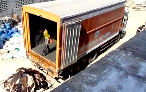 Unloading chilled hides from refrigerated container