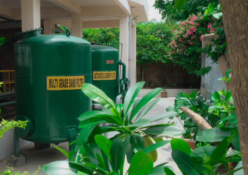 Building a Green Belt in Our Premises