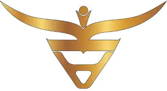 AKI India Limited