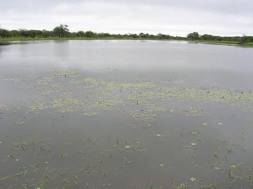 Artificial Recharge through Pond Adoption