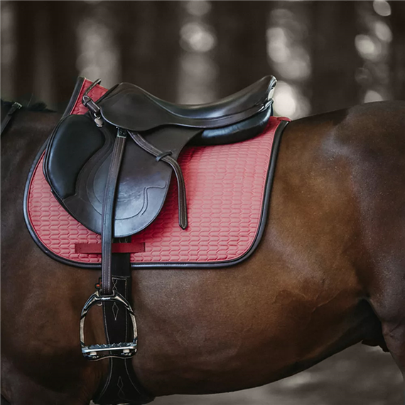 Equestrian Products