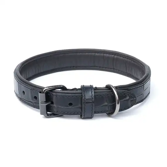 Dog Collars