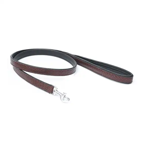Dog Leads